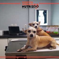 Blog Importancia Medicina Preventiva 